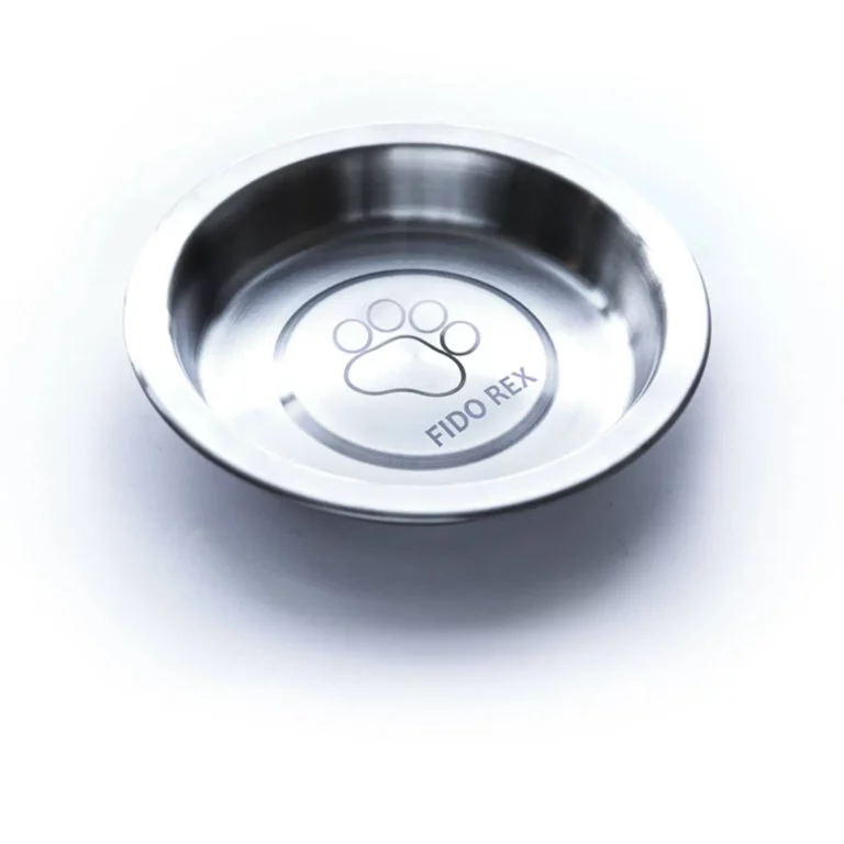 Un bol pour animaux de compagnie en acier inoxydable avec une empreinte de patte et les mots « Fido Rex » finement gravés à laide de la technologie laser à fibre galvo sur sa base intérieure. Le bol présente un design simple et brillant sur un fond blanc éclatant.