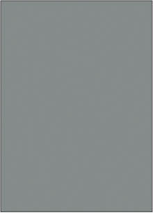 Gris Opaque : CH341-301